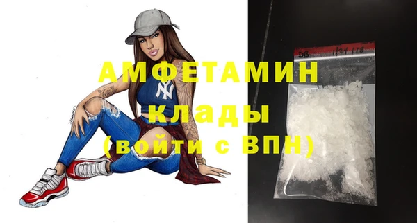 шишки Беломорск