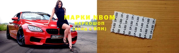 apvp Белокуриха