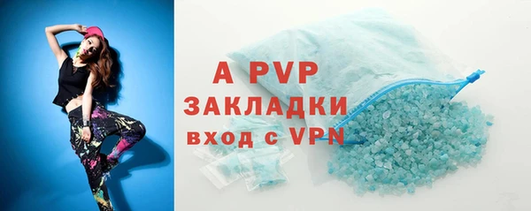 apvp Белокуриха