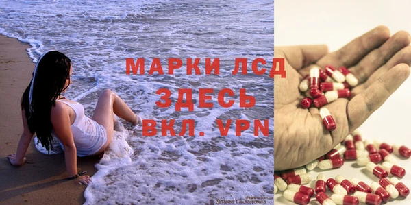 apvp Белокуриха