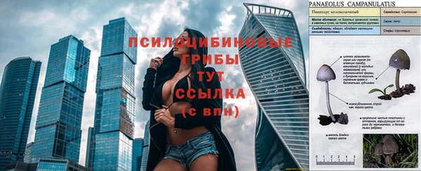 apvp Белокуриха