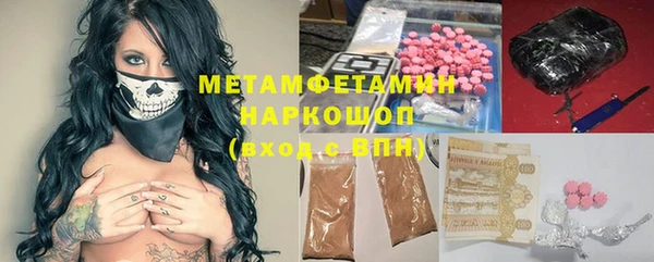 шишки Беломорск
