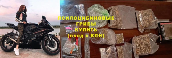 шишки Беломорск
