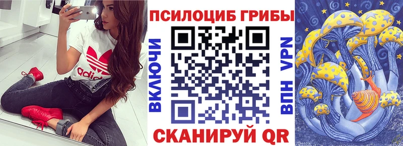 Галлюциногенные грибы прущие грибы Приволжский
