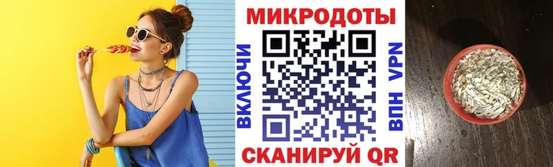 Галлюциногенные грибы Psilocybe  купить наркоту  Приволжский 